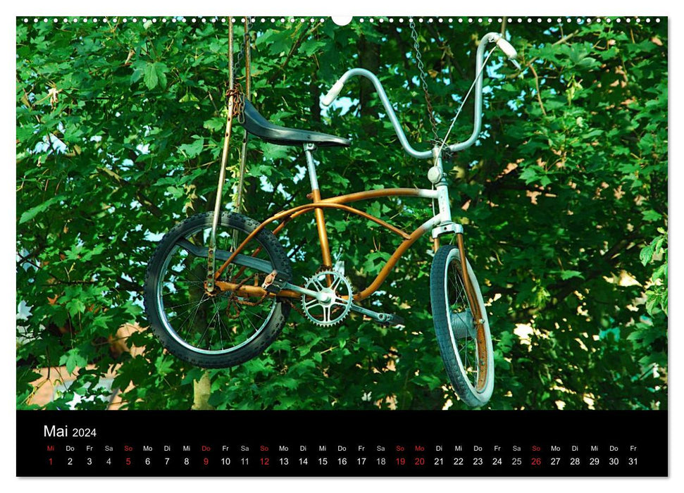 Mit dem Fahrrad durch 2024 (CALVENDO Wandkalender 2024)