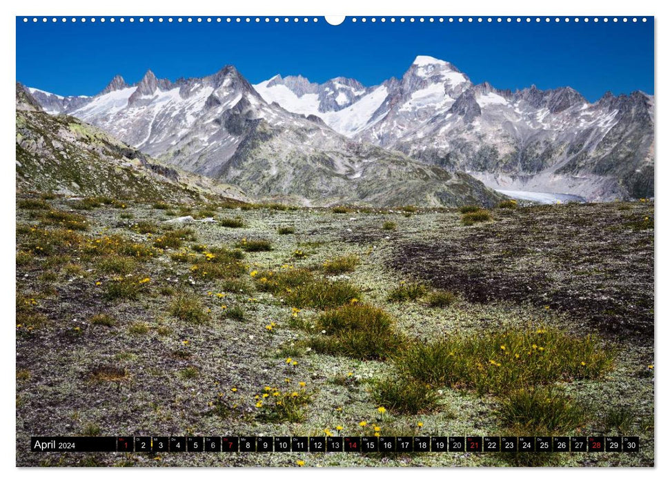 Swiss Alps. Nature and landscapes (CALVENDO Premium Wall Calendar 2024) 