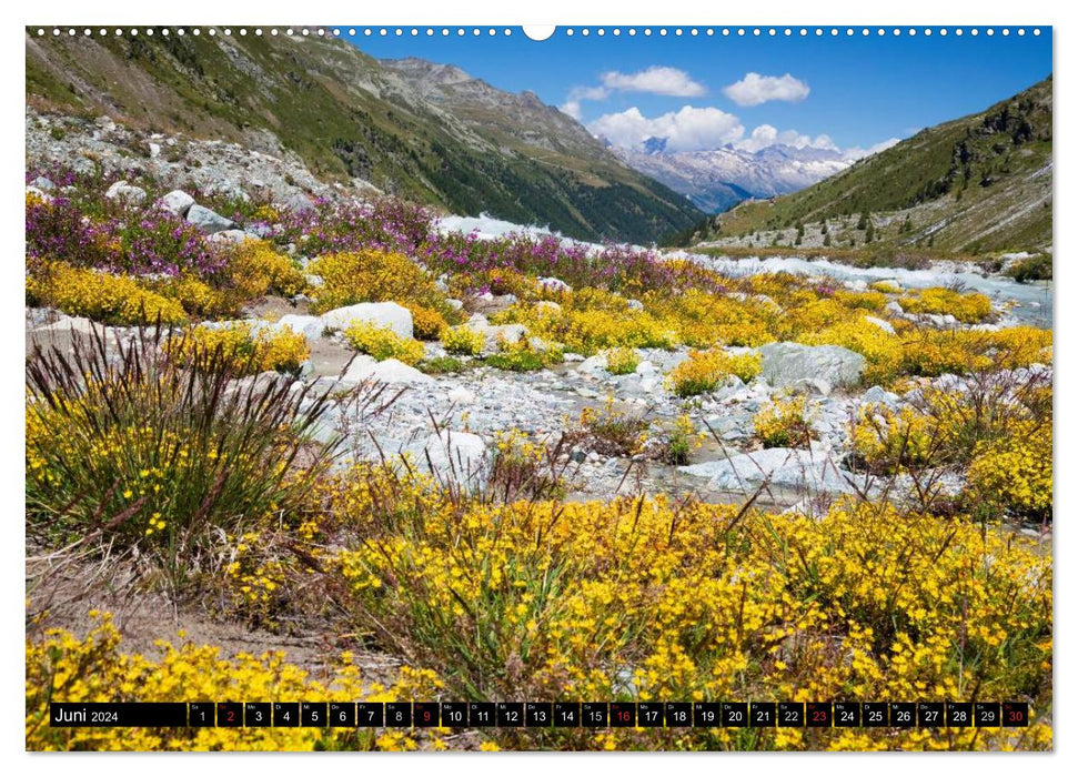 Schweizer Alpen. Natur und Landschaften (CALVENDO Premium Wandkalender 2024)