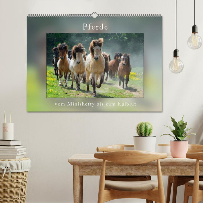 Horses From Minishetty to Draft Horses (CALVENDO Wall Calendar 2024) 