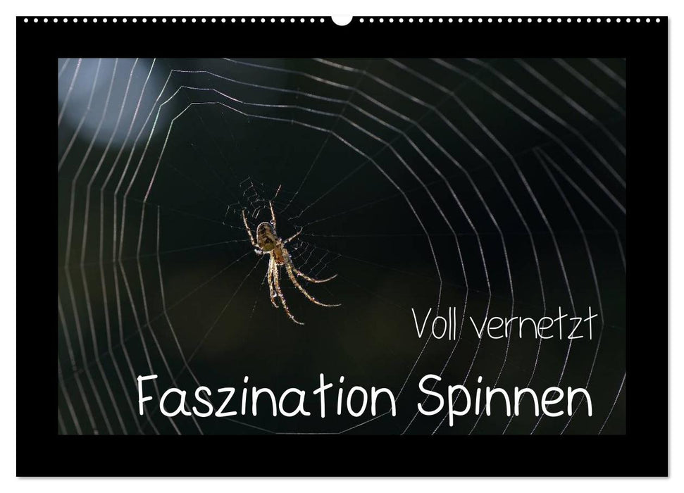 Fully networked - fascination with spiders (CALVENDO wall calendar 2024) 