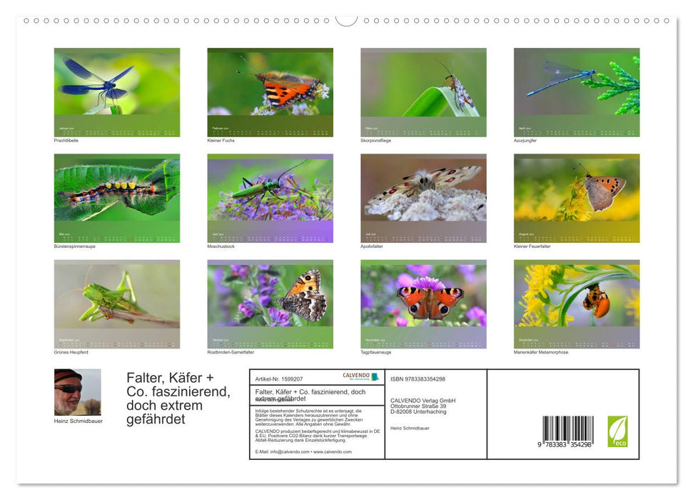 Butterflies, beetles and the like are fascinating, but extremely endangered (CALVENDO Premium Wall Calendar 2024) 