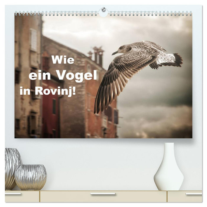 Wie ein Vogel in Rovinj! (CALVENDO Premium Wandkalender 2024)