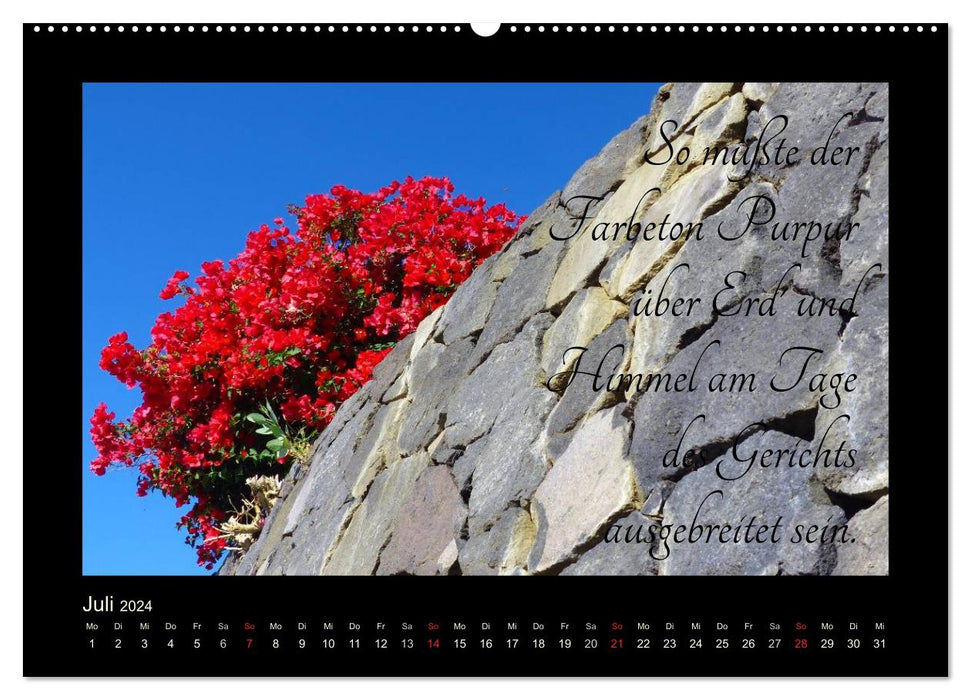 Goethes Rot. Gedanken zur Farbe (CALVENDO Premium Wandkalender 2024)