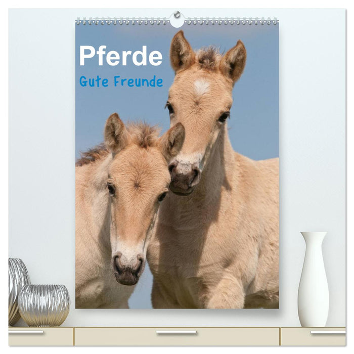 Chevaux bons amis (Calvendo Premium Calendrier mural 2024) 