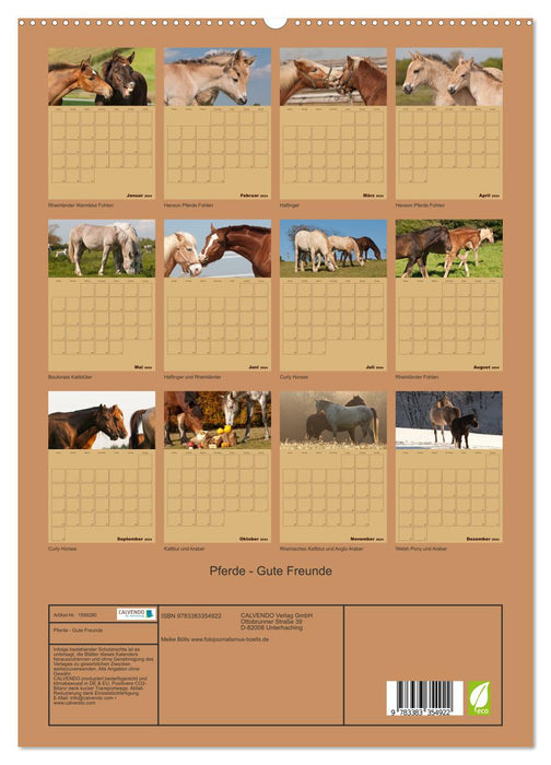 Chevaux bons amis (Calvendo Premium Calendrier mural 2024) 