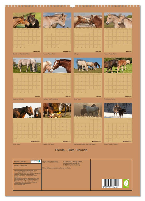 Pferde Gute Freunde (CALVENDO Premium Wandkalender 2024)