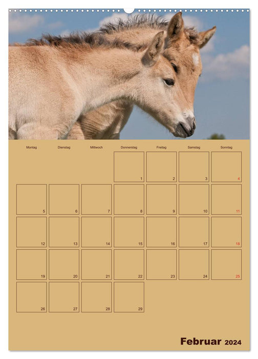 Pferde Gute Freunde (CALVENDO Premium Wandkalender 2024)