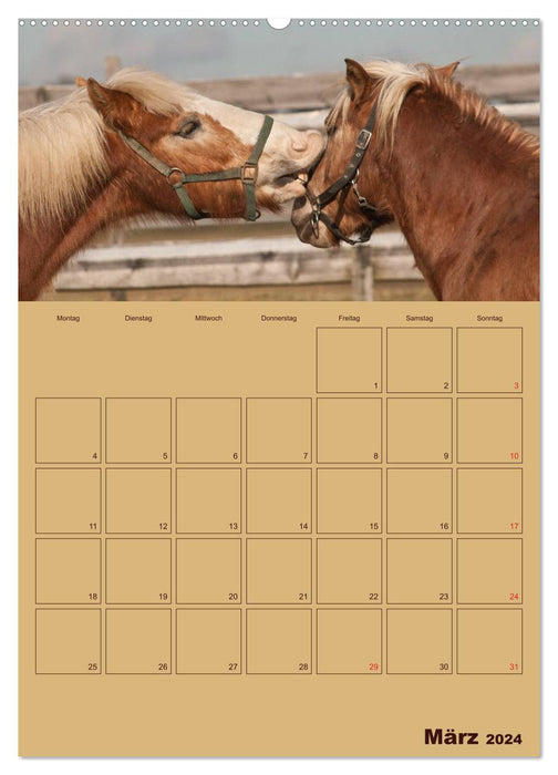 Horses Good Friends (CALVENDO Premium Wall Calendar 2024) 
