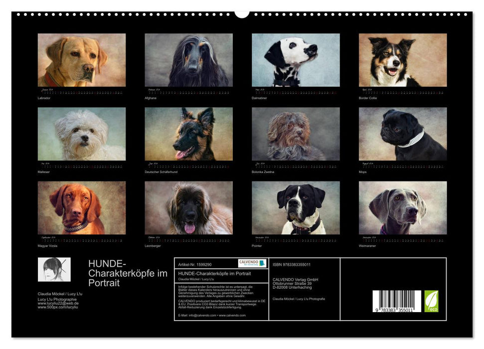 Têtes de personnages de CHIEN en portrait (Calvendo Premium Wall Calendar 2024) 