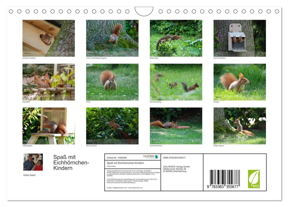 Fun with squirrel children (CALVENDO wall calendar 2024) 