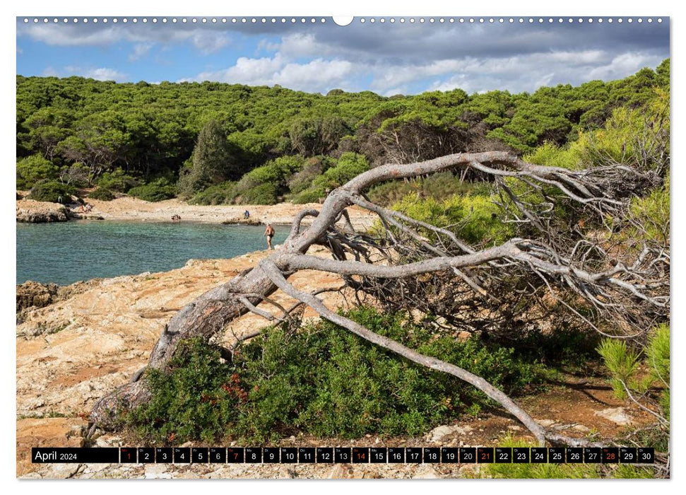 Gallipoli and Apulia - Fascination of Southern Italy (CALVENDO wall calendar 2024) 