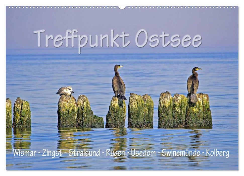 Treffpunkt Ostsee (CALVENDO Wandkalender 2024)