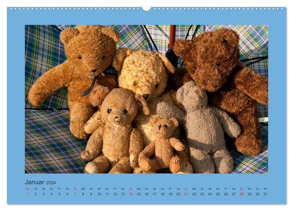 Teddys Meine Freunde (CALVENDO Premium Wandkalender 2024)