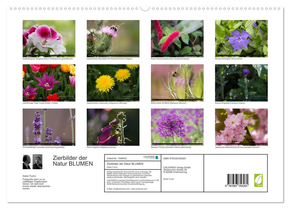 Decorative images of nature FLOWERS (CALVENDO Premium Wall Calendar 2024) 