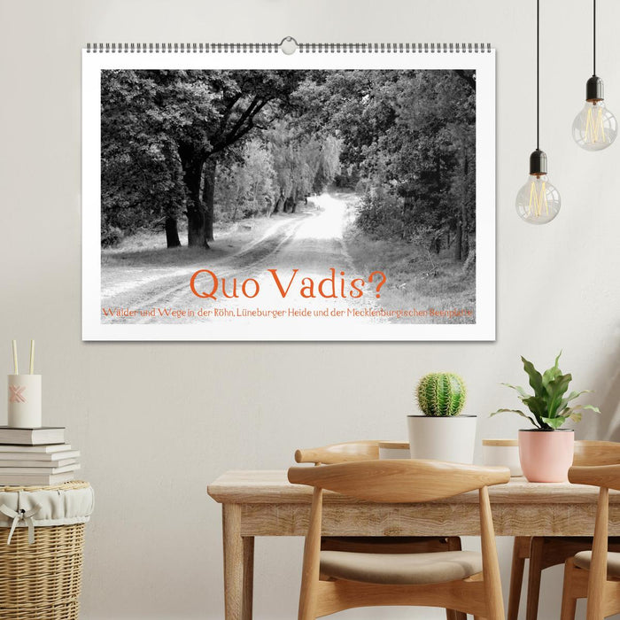 Quo Vadis? Forests and paths in the Röhn, Lüneburg Heath and the Mecklenburg Lake District (CALVENDO wall calendar 2024) 