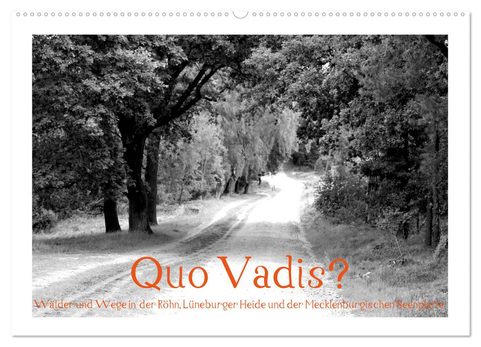 Quo Vadis? Forests and paths in the Röhn, Lüneburg Heath and the Mecklenburg Lake District (CALVENDO wall calendar 2024) 