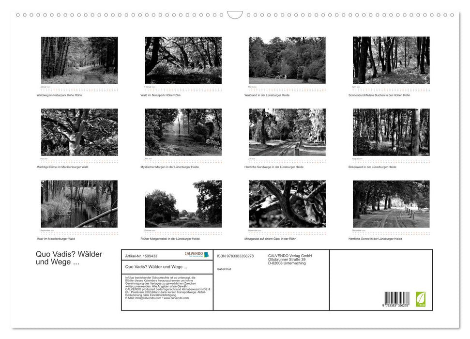 Quo Vadis? Wälder und Wege in der Röhn, Lüneburger Heide und der Mecklenburgischen Seenplatte (CALVENDO Wandkalender 2024)