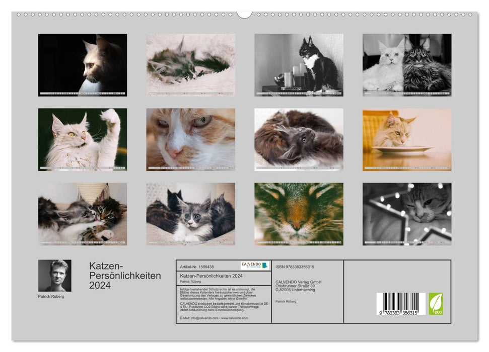 Cat personalities 2024 (CALVENDO Premium Wall Calendar 2024) 