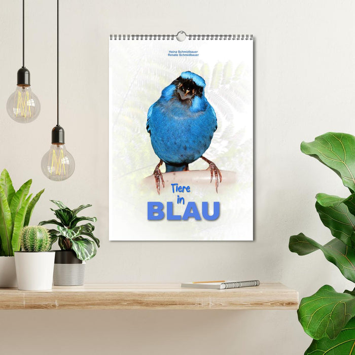 Animals in Blue (CALVENDO Wall Calendar 2024) 