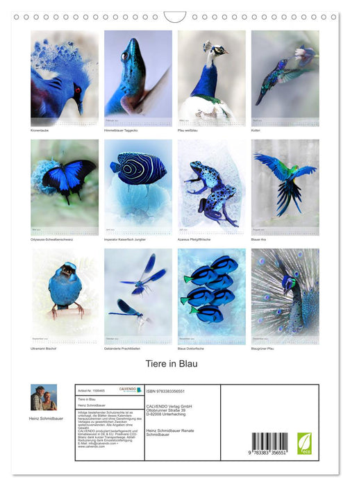 Animals in Blue (CALVENDO Wall Calendar 2024) 