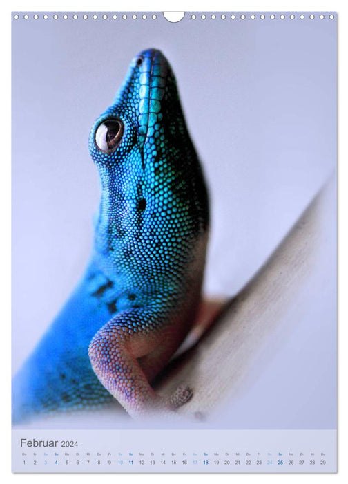 Tiere in Blau (CALVENDO Wandkalender 2024)