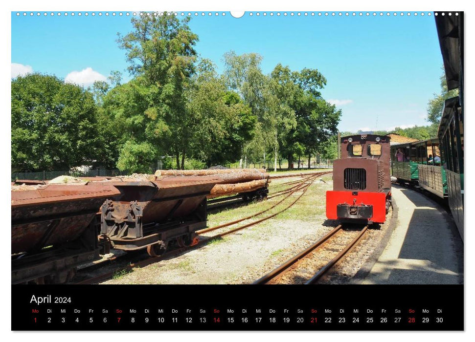 Waldeisenbahn Bad Muskau (CALVENDO Premium Wandkalender 2024)