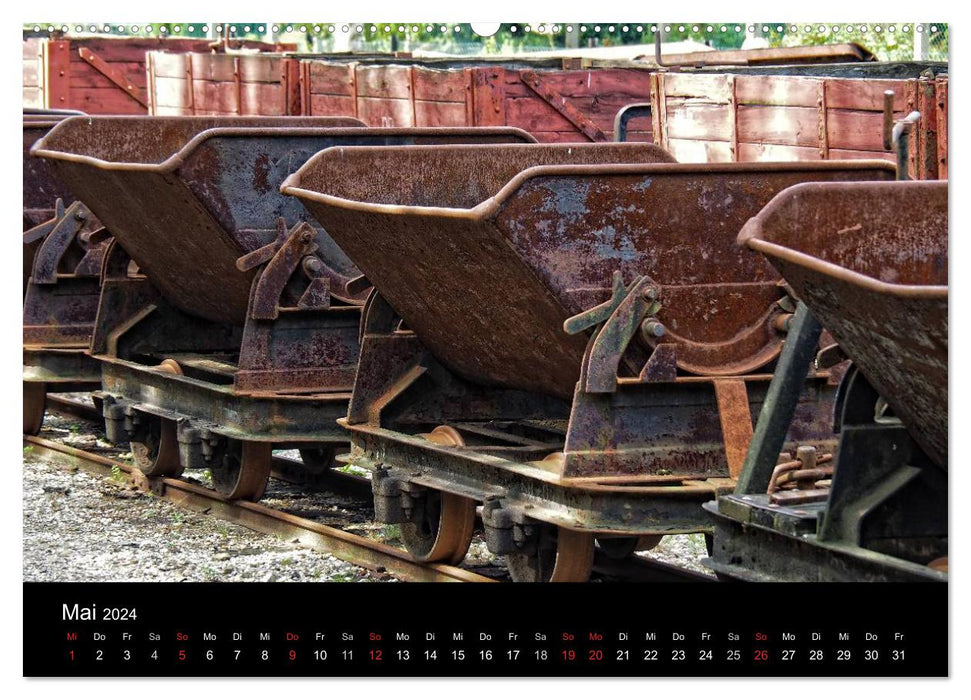 Bad Muskau Forest Railway (CALVENDO Premium Wall Calendar 2024) 