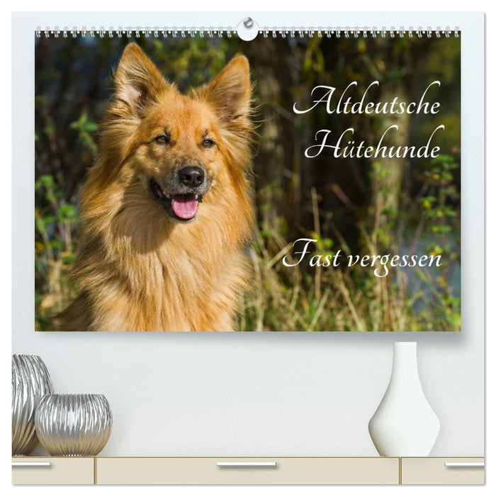 Old German Shepherd Dogs - Almost Forgotten (CALVENDO Premium Wall Calendar 2024) 