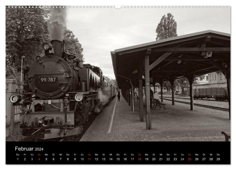 Ein Jahr mit der Schmalspurbahn aus Zittau (CALVENDO Premium Wandkalender 2024)