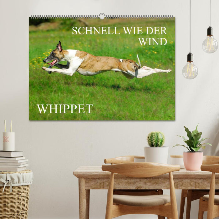 Schnell wie der Wind - Whippet (CALVENDO Wandkalender 2024)