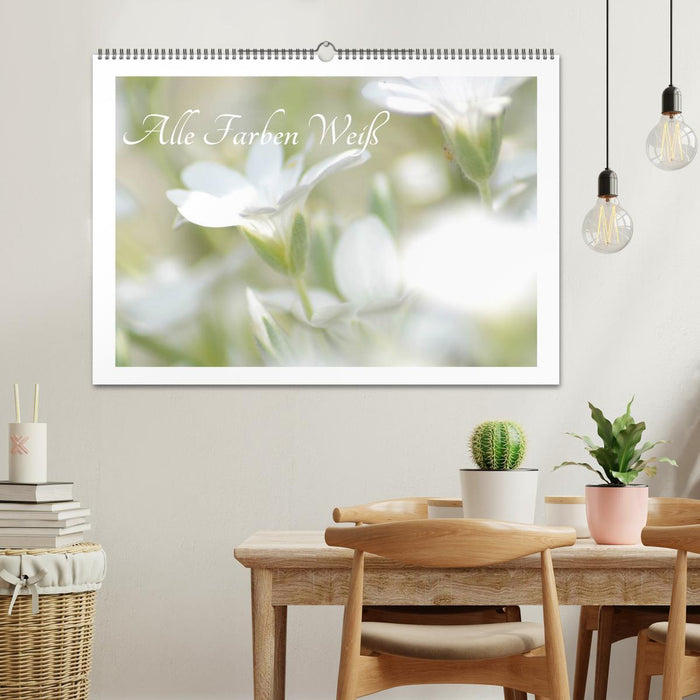 All colors white (CALVENDO wall calendar 2024) 