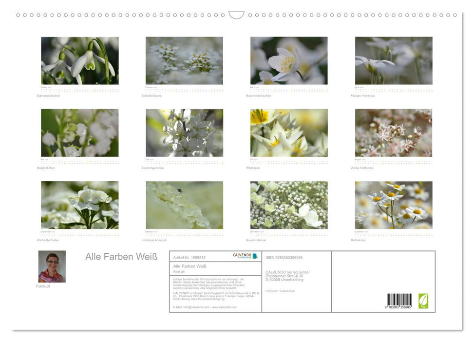 All colors white (CALVENDO wall calendar 2024) 