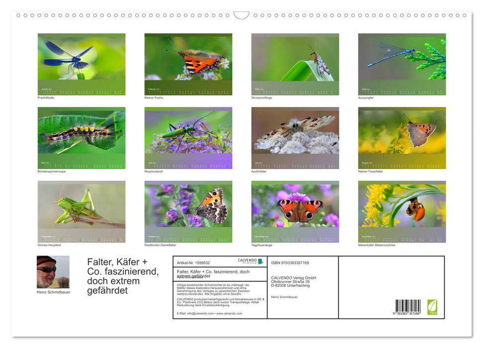 Falter, Käfer und Co.faszinierend, doch extrem gefährdet (CALVENDO Wandkalender 2024)