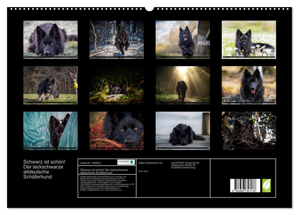 Black is beautiful! The patent black Old German Shepherd Dog (CALVENDO Premium Wall Calendar 2024) 