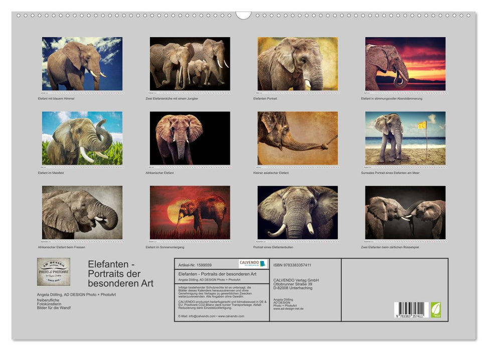 Elephants - portraits of a special kind (CALVENDO wall calendar 2024) 