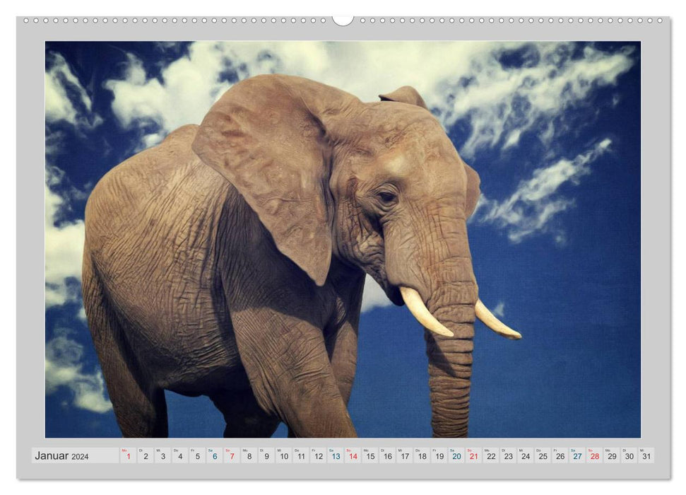 Elephants - portraits of a special kind (CALVENDO wall calendar 2024) 