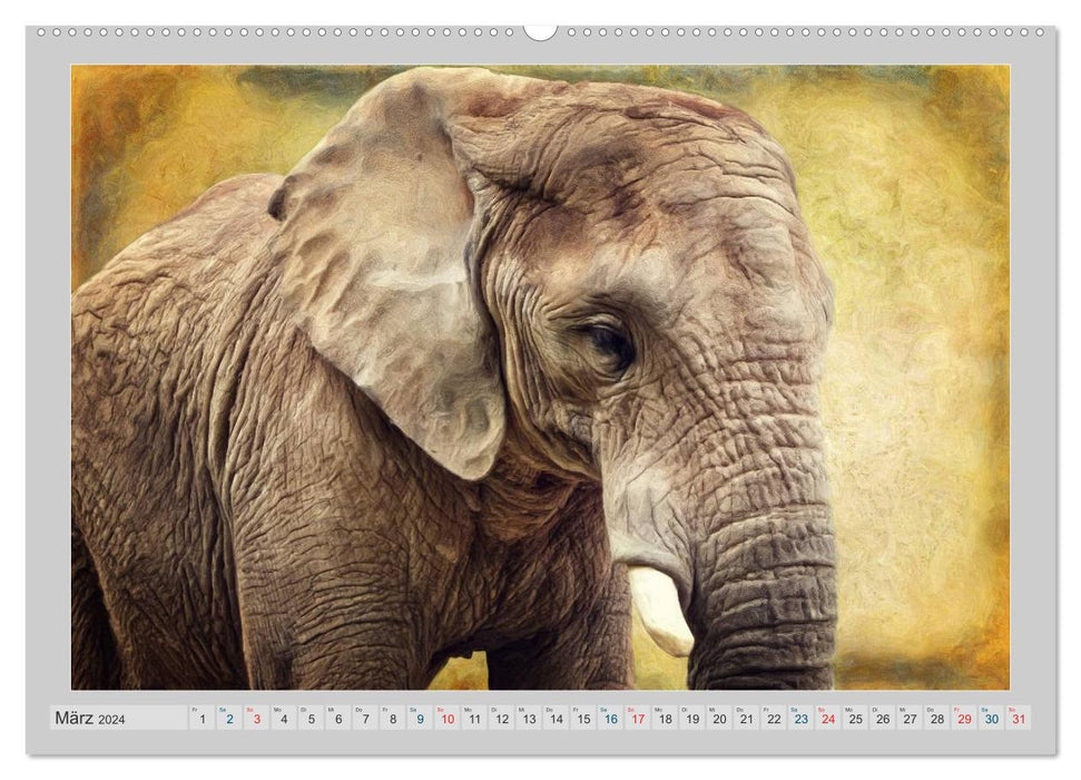 Elephants - portraits of a special kind (CALVENDO wall calendar 2024) 