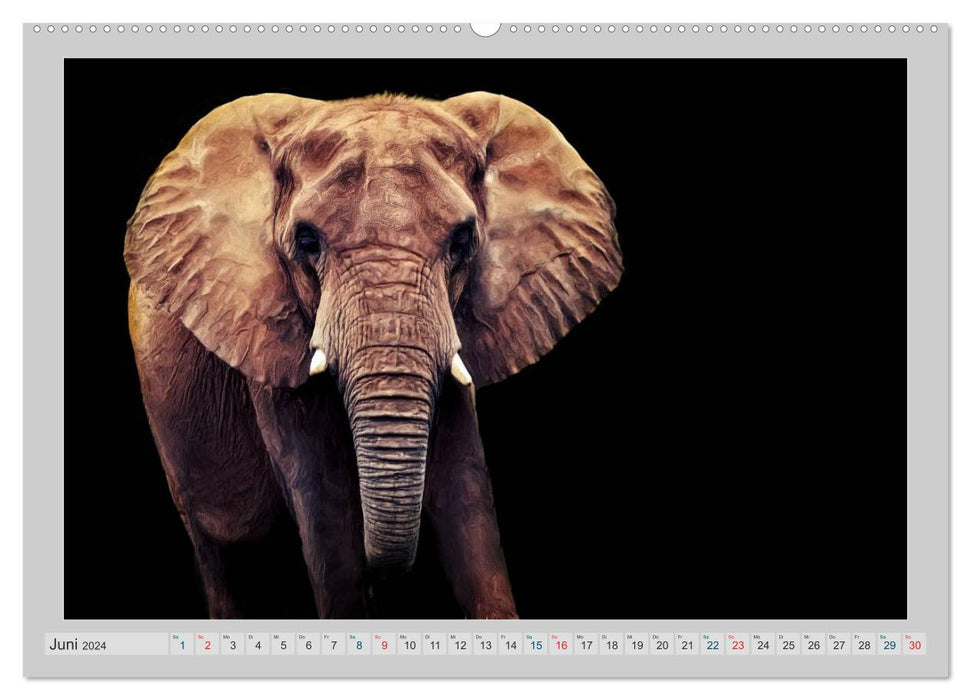 Éléphants - portraits d'un genre particulier (Calendrier mural CALVENDO 2024) 