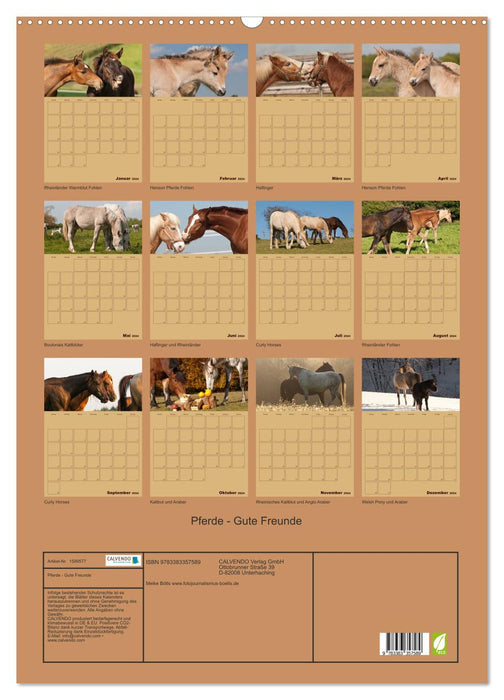 Pferde Gute Freunde (CALVENDO Wandkalender 2024)