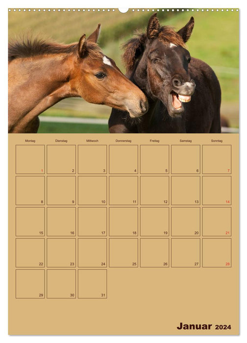 Pferde Gute Freunde (CALVENDO Wandkalender 2024)