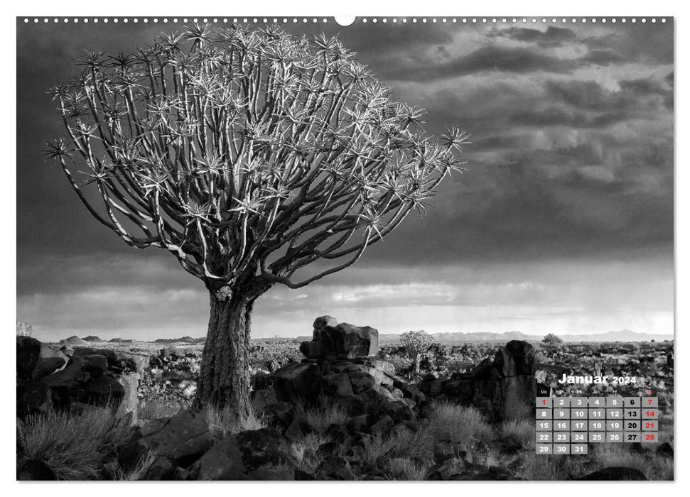 Namibia black and white (CALVENDO Premium Wall Calendar 2024) 