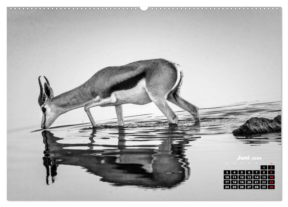 Namibia black and white (CALVENDO Premium Wall Calendar 2024) 