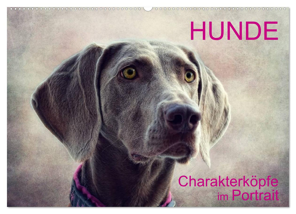 HUNDE-Chrakaterköpfe im Portrait (CALVENDO Wandkalender 2024)