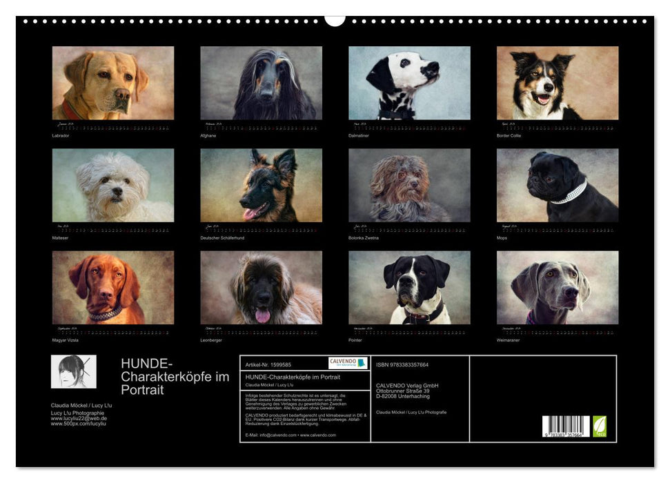 HUNDE-Chrakaterköpfe im Portrait (CALVENDO Wandkalender 2024)