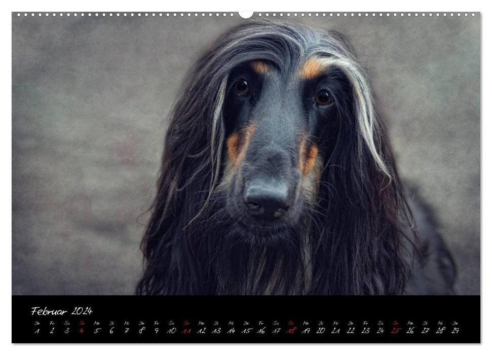 DOG character heads in portrait (CALVENDO wall calendar 2024) 