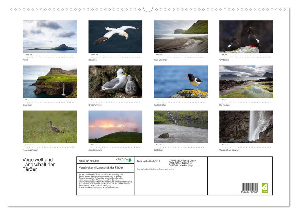 Birdlife and landscape of the Faroe Islands (CALVENDO wall calendar 2024) 