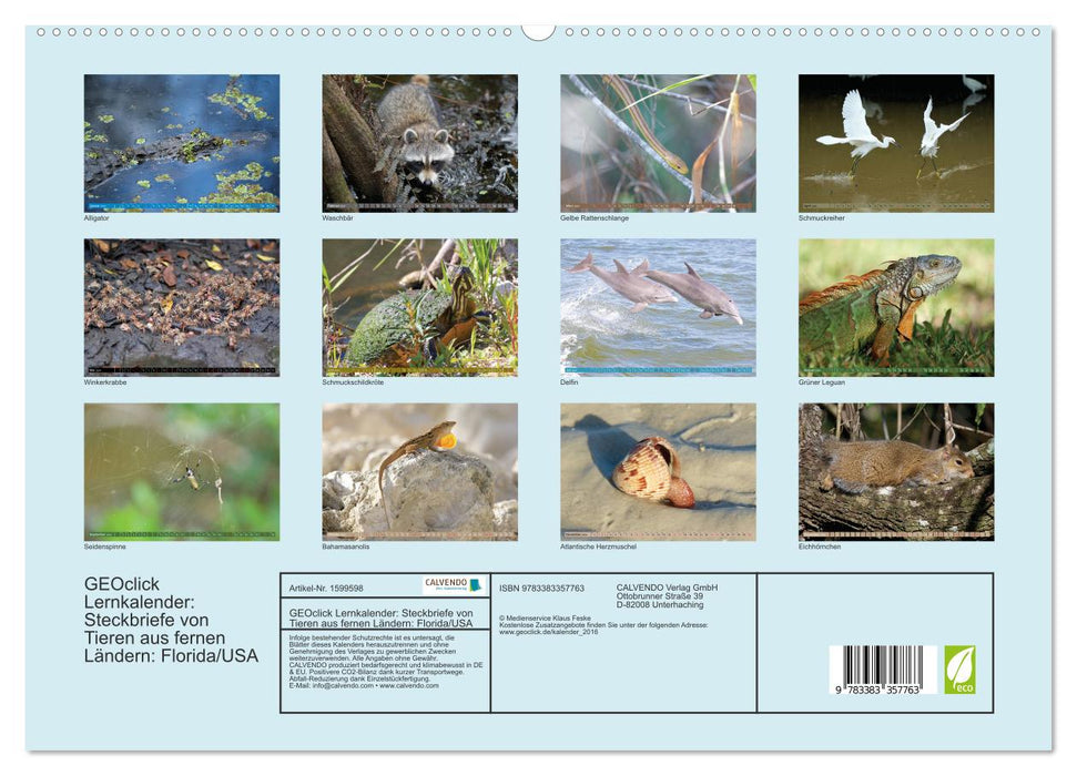 GEOclick Lernkalender: Steckbriefe von Tieren aus fernen Ländern: Florida/USA (CALVENDO Premium Wandkalender 2024)