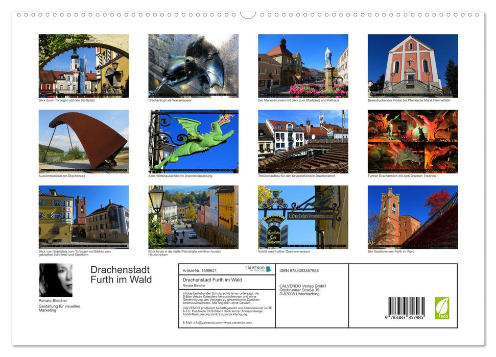 Drachenstadt Furth im Wald (CALVENDO Premium Wandkalender 2024)