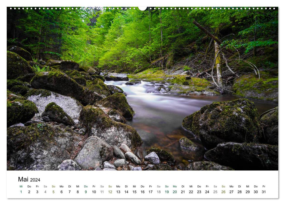 Dream landscapes in the Bavarian Forest (CALVENDO wall calendar 2024) 